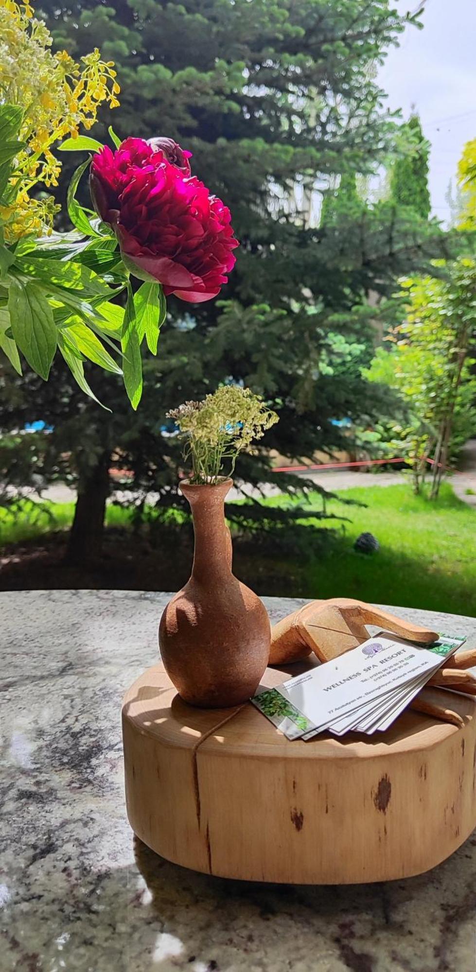 Aya Maria Wellness Spa Resort Dzoraghpʼyur Esterno foto